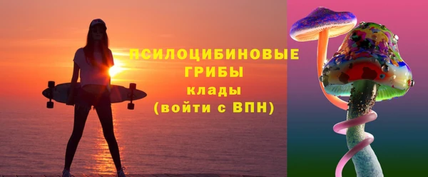 МДПВ Алексин