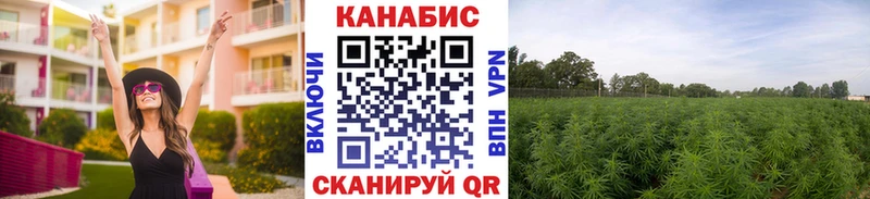 Марихуана VHQ  Теберда 
